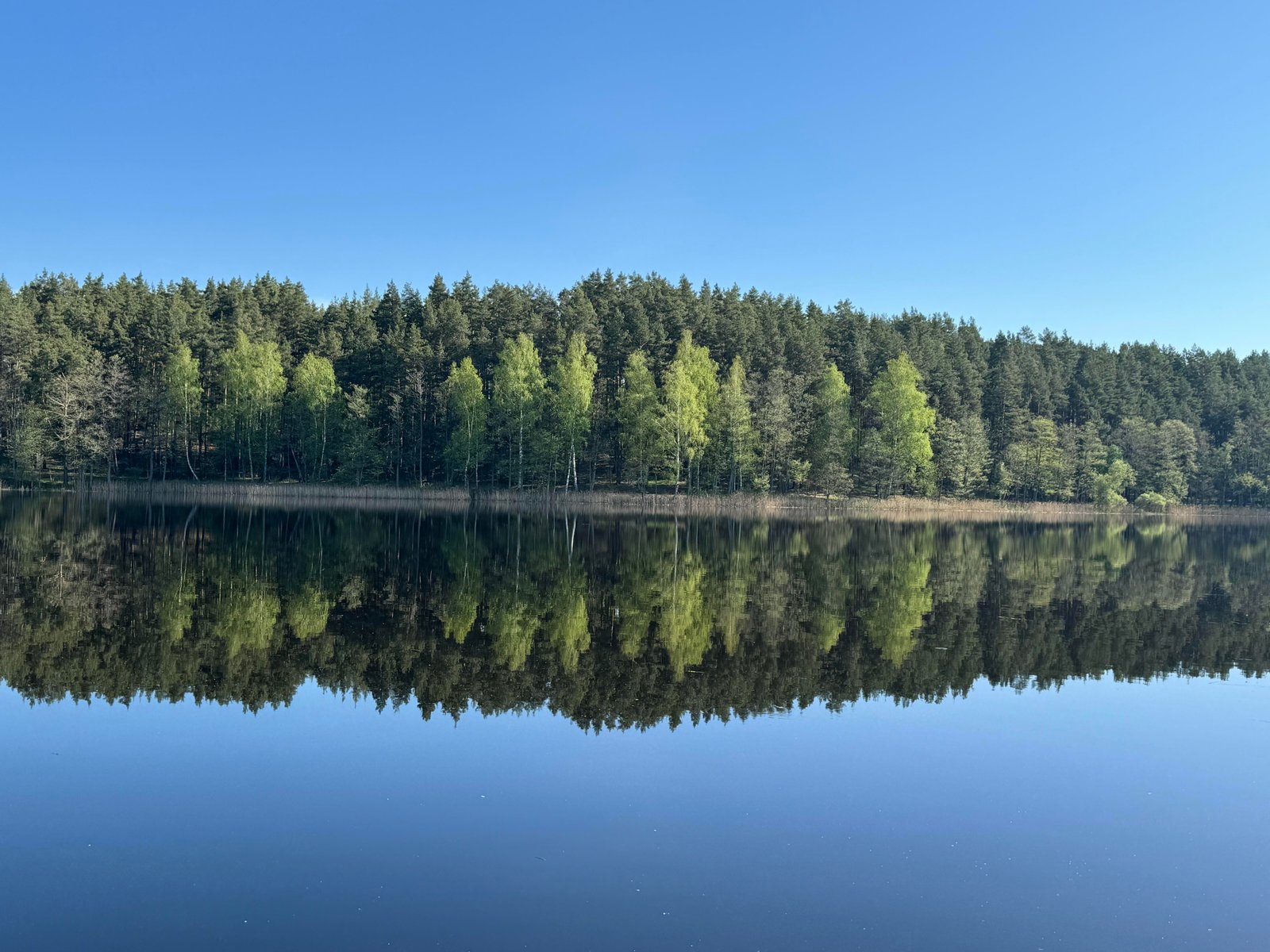 Jauki gamtos detalė kaimo turizmo sodyboje
